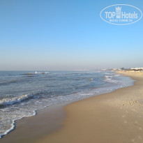 фото из отзыва ID 1875911