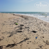 фото из отзыва ID 1876010