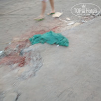 фото из отзыва ID 1876038