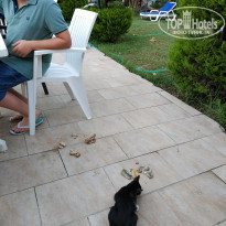 фото из отзыва ID 1876110