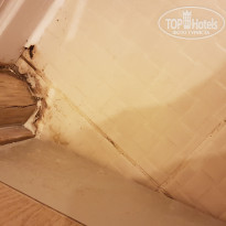 фото из отзыва ID 1876194