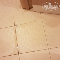 фото из отзыва ID 1876194