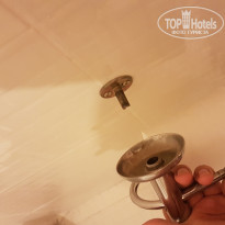 фото из отзыва ID 1876194