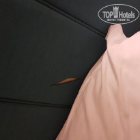 фото из отзыва ID 1876194