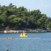 фото из отзыва ID 1875587