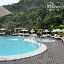 фото из отзыва ID 1876455