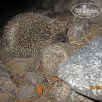 фото из отзыва ID 1876513