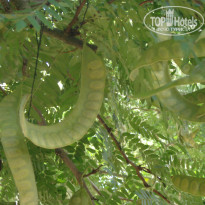 фото из отзыва ID 1876625