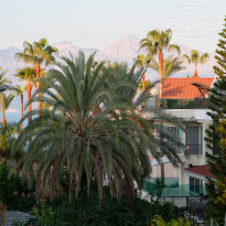 фото из отзыва ID 1876647