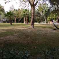 фото из отзыва ID 1876730