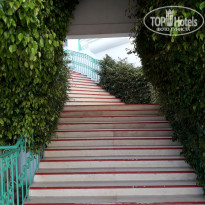 фото из отзыва ID 1876763