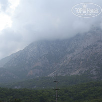 фото из отзыва ID 1876845