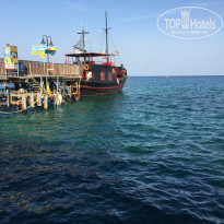 фото из отзыва ID 1875989