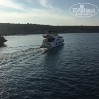 фото из отзыва ID 1875989