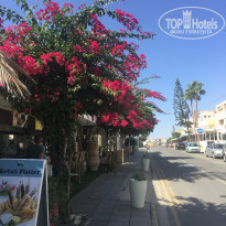 фото из отзыва ID 1875989