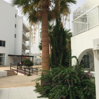 фото из отзыва ID 1875989