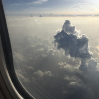 фото из отзыва ID 1875989