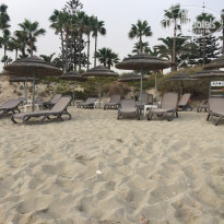 фото из отзыва ID 1875989