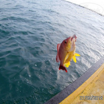 фото из отзыва ID 1877213