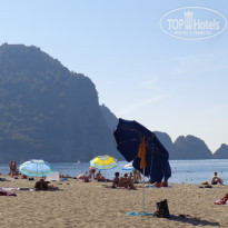 фото из отзыва ID 1877274