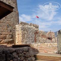 фото из отзыва ID 1877274