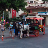 фото из отзыва ID 1877274