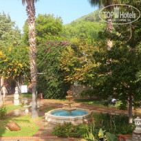 фото из отзыва ID 1877323