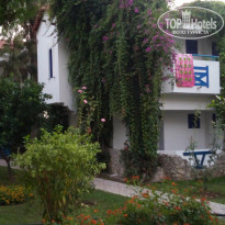 фото из отзыва ID 1877323