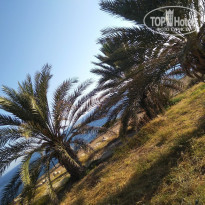 фото из отзыва ID 1877392