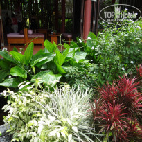 фото из отзыва ID 1877401