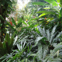 фото из отзыва ID 1877401