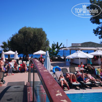 фото из отзыва ID 1877412