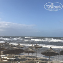 фото из отзыва ID 1877566