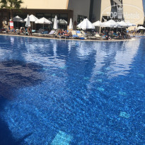 фото из отзыва ID 1875393