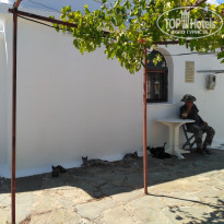 фото из отзыва ID 1877737