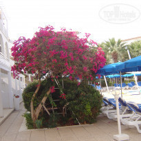 фото из отзыва ID 1877792