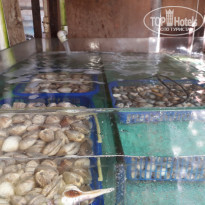 фото из отзыва ID 1877869