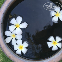 фото из отзыва ID 1877897