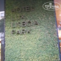 фото из отзыва ID 1878163