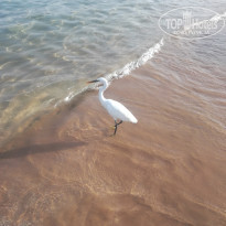 фото из отзыва ID 1878201