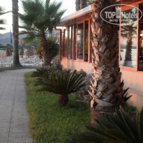 фото из отзыва ID 1878403