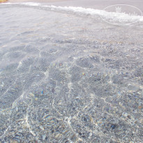 фото из отзыва ID 1878399