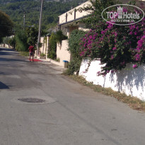 фото из отзыва ID 1878459