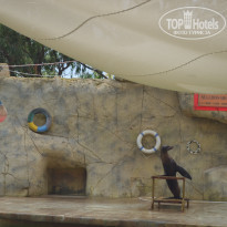 фото из отзыва ID 1878552