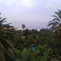 фото из отзыва ID 1878618