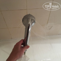 фото из отзыва ID 1878630