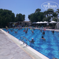 фото из отзыва ID 1876478