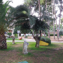 фото из отзыва ID 1878828