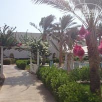 фото из отзыва ID 1878869