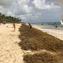 фото из отзыва ID 1878901